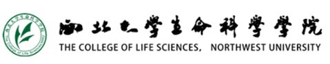 糖果派对官网新人权益